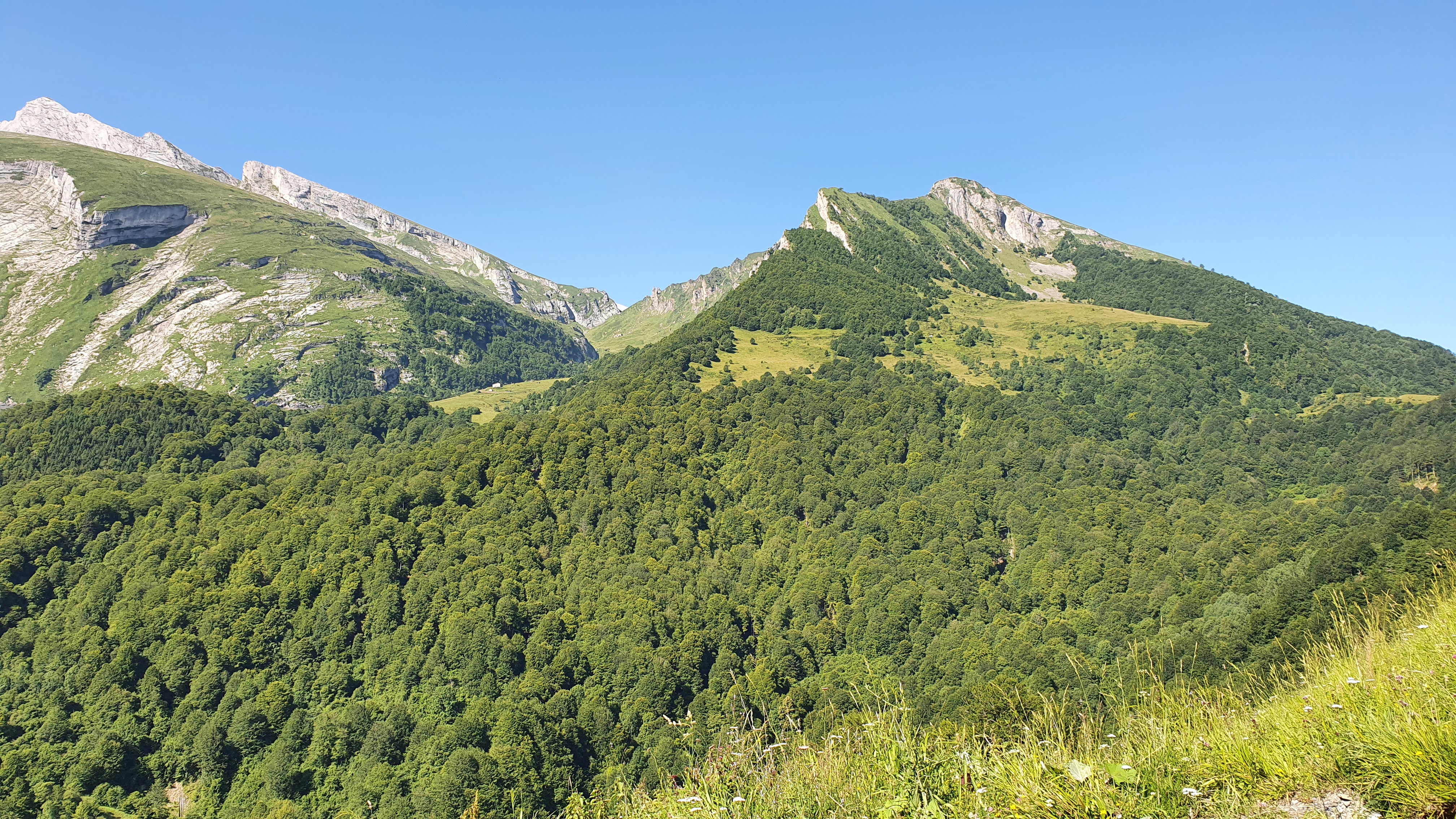 Photo n° 5 de l'avis de Patrick.a fait le 20/07/2021 à 10:02