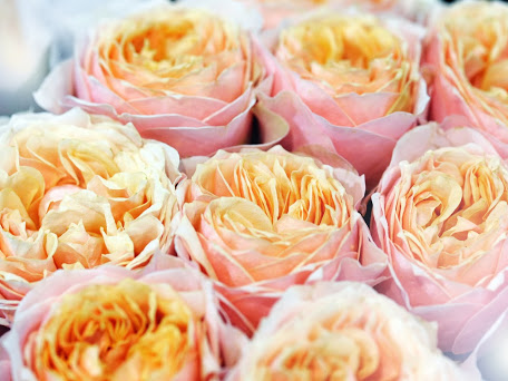 Florist «Flowers Galore», reviews and photos, 4900 N Dixie Hwy #4, Fort Lauderdale, FL 33334, USA