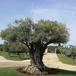 Photo n°5 de l'avis de Monica.r fait le 11/06/2019 à 12:53 sur le  Veraclub Suneva Wellness & Golf à Cagliari