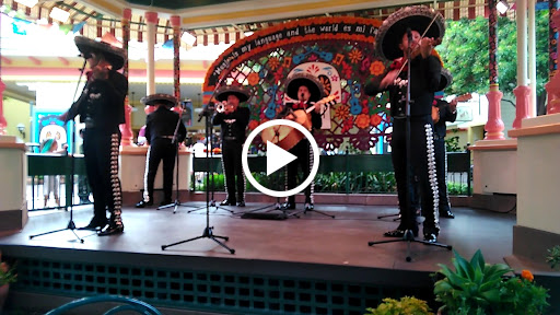 Paradise Garden Grill