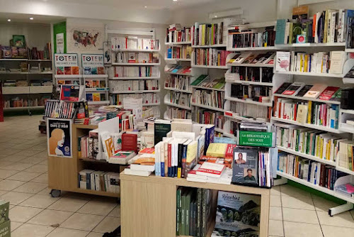 Café-Librairie Grenouille à Langeac