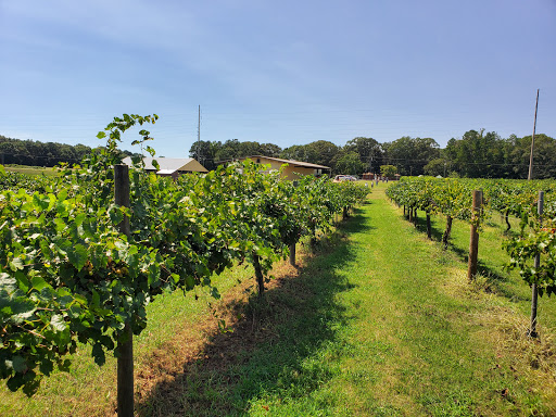 Winery «Fox Vineyards & Winery», reviews and photos, 225 State Hwy 11, Social Circle, GA 30025, USA