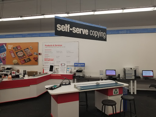 Office Supply Store «Staples», reviews and photos, 11806 Bruce B Downs Blvd, Tampa, FL 33612, USA
