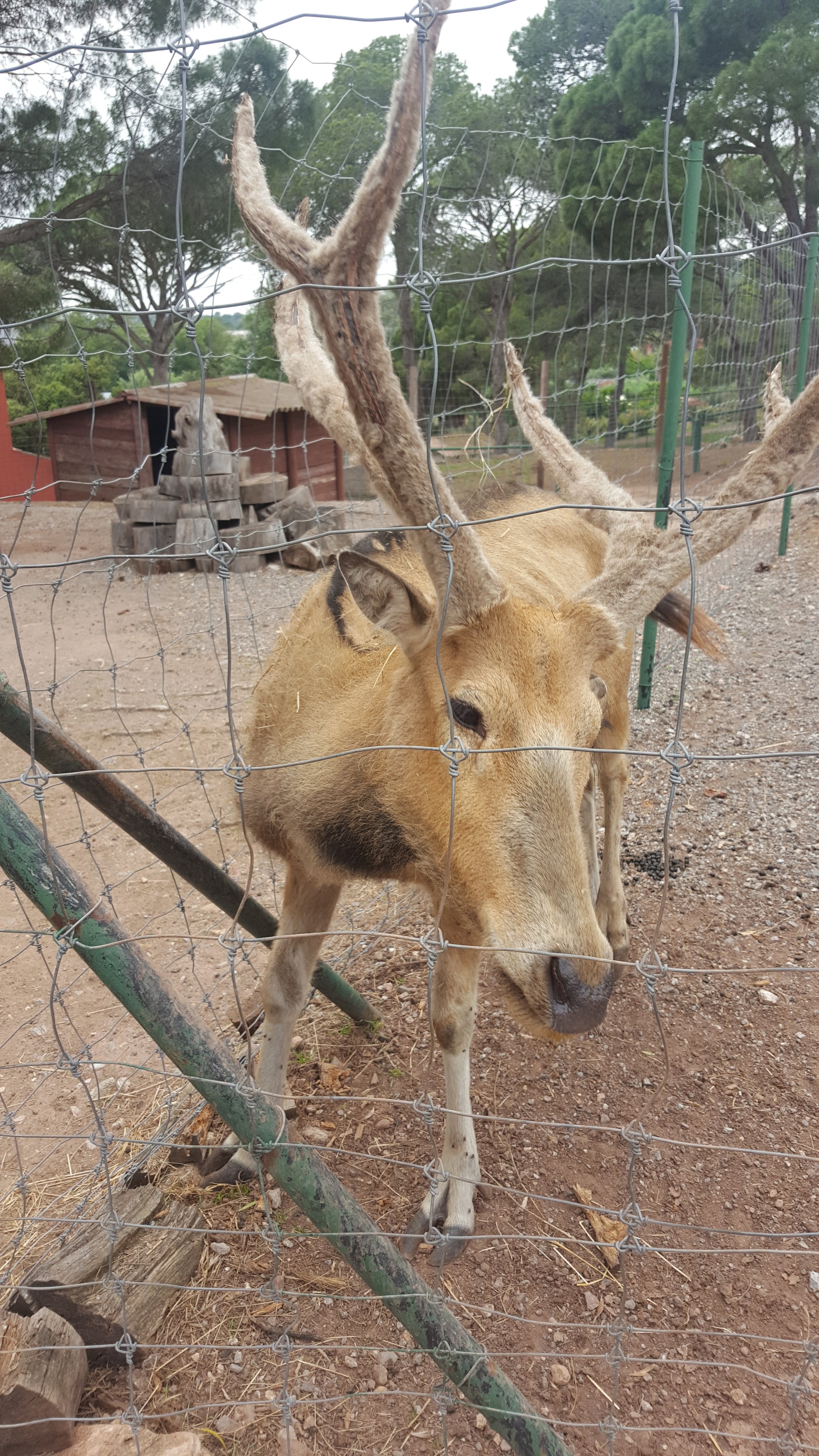 Photo n° 10 de l'avis de Eli. fait le 27/05/2018 à 18:47