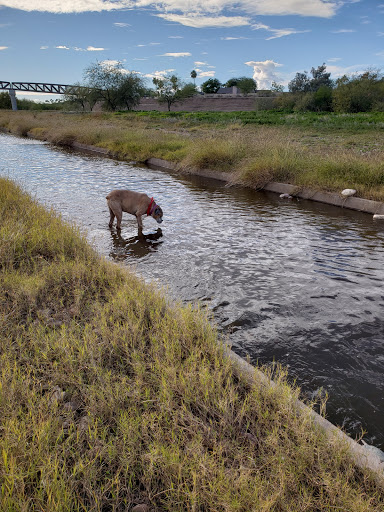 Recreation Center «Rio Vista Recreation Center», reviews and photos, 8866 W Thunderbird Rd, Peoria, AZ 85381, USA