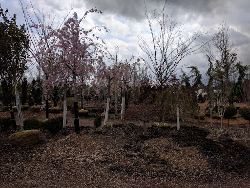 Lawn Mower Store «Central Jersey Nurseries Mower», reviews and photos, 18 Hamilton Rd, Hillsborough Township, NJ 08844, USA