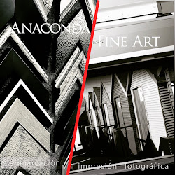 Anaconda Fine Art
