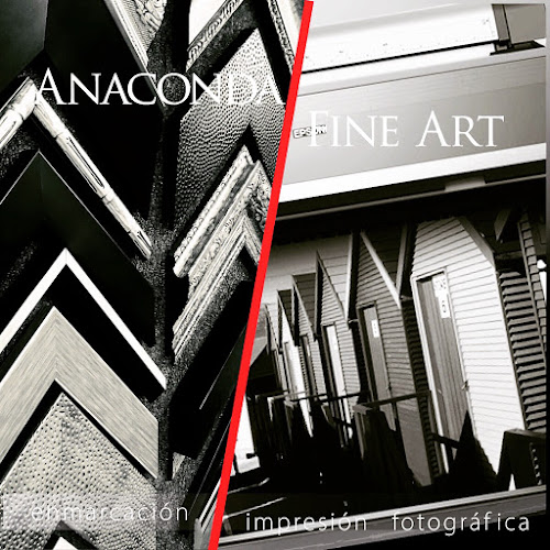 Anaconda Fine Art