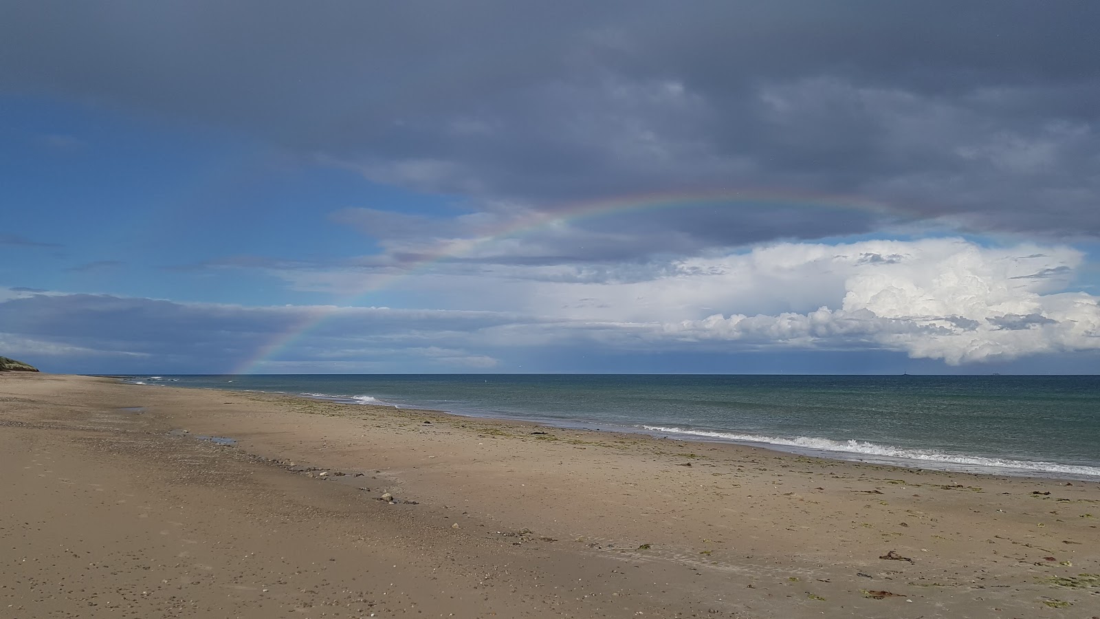 Foto van Oldmill Bay Beach wilde omgeving