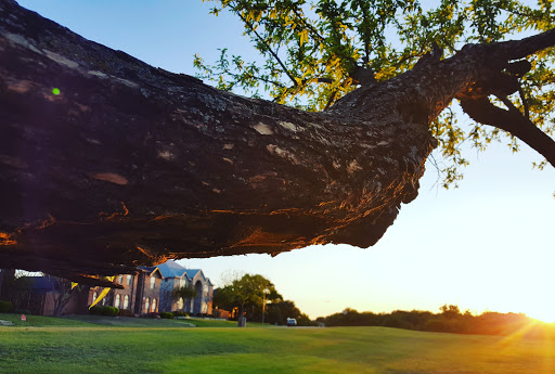 Park «Hoblitzelle Park», reviews and photos, 7500 Red River Dr, Plano, TX 75025, USA