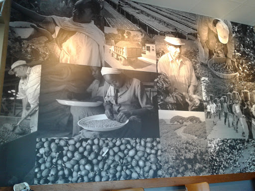 Coffee Shop «Starbucks», reviews and photos, 423 S Federal Hwy, Pompano Beach, FL 33062, USA