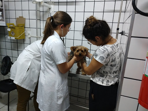 Veterinary Clinic and Pet Shop Dog Chic 24 em São Paulo - SP