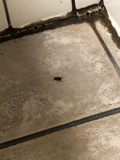 Craft Store «Michaels», reviews and photos, 69290 LA-21, Covington, LA 70433, USA