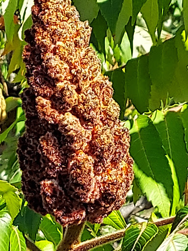 State Park «Abigail Adams State Park», reviews and photos, 770 Bridge St, Weymouth, MA 02188, USA