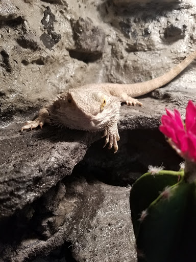 Pet Store «Marineland Pet Center», reviews and photos, 412 Oak Forest Dr, Onalaska, WI 54650, USA