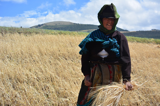 FAO Ecuador - Organización de las Naciones Unidas para la Alimentación y la Agricultura