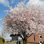 Photo n°1 de l'avis de Françoise.a fait le 31/03/2022 à 11:27 sur le  Fährhaus Wischhafen à Wischhafen