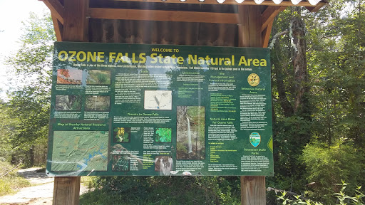 Tourist Attraction «Ozone Falls», reviews and photos, 14563 TN-1, Rockwood, TN 37854, USA