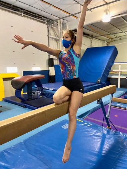 Lake City Twisters Gymnastics