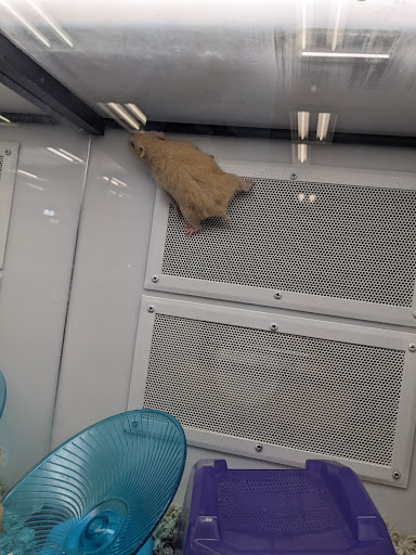 Pet Supply Store «Petco Animal Supplies», reviews and photos, 1401 E Spring Valley Rd, Richardson, TX 75081, USA