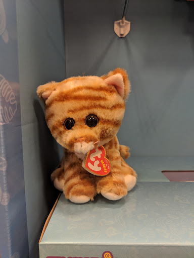 Book Store «Barnes & Noble», reviews and photos, 17111 Haggerty Rd, Northville, MI 48168, USA