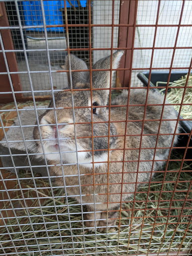 Pet Supply Store «Creative Pet Supply», reviews and photos, 305 N Harbor Blvd, San Pedro, CA 90731, USA