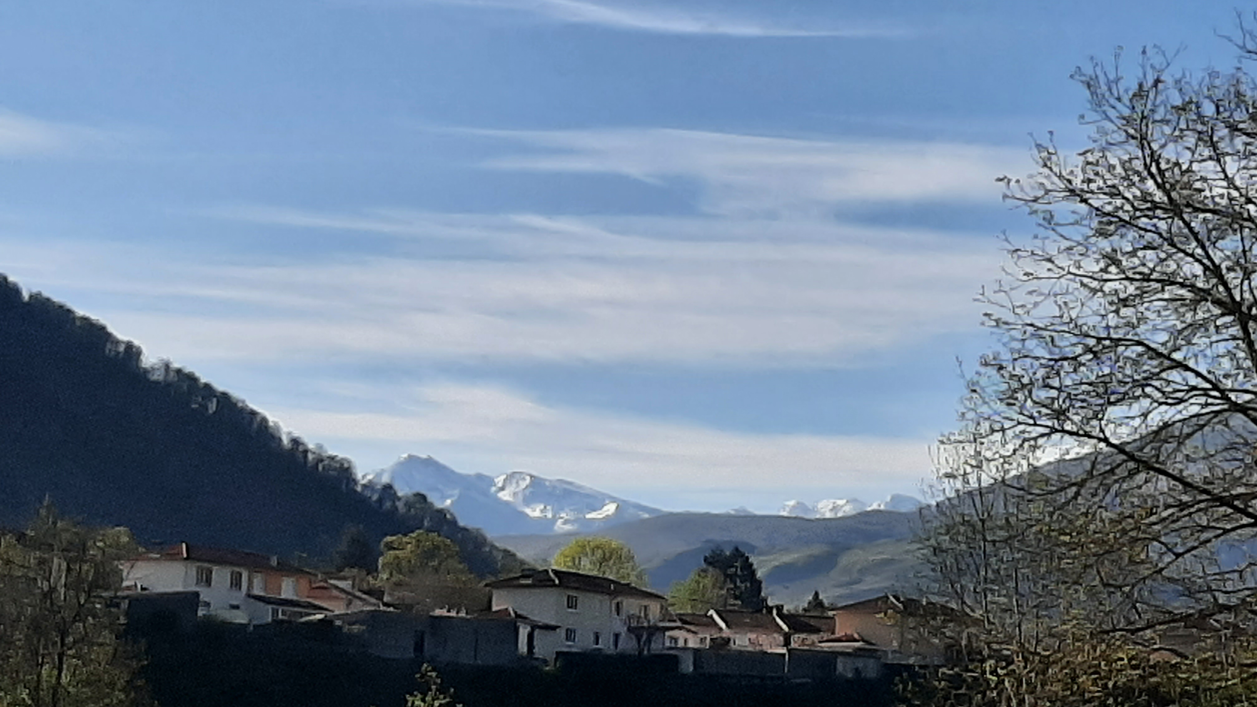Photo n° 3 de l'avis de Raymond.e fait le 19/04/2023 à 14:38