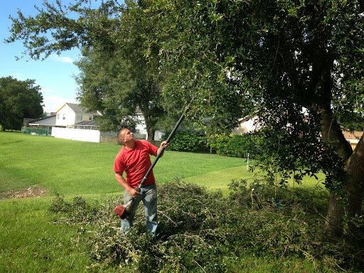 Miller Son Tree Service Tampa