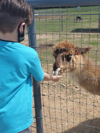Ranch «Sharkarosa Wildlife Ranch», reviews and photos, 11670 Massey Rd, Pilot Point, TX 76258, USA