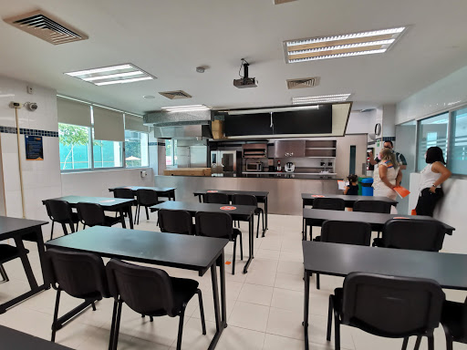 Escuelas de homeopatia en Cancun