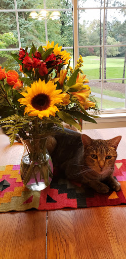 Florist «Main Street Floral Shop», reviews and photos, 115 E Main St, Pinckney, MI 48169, USA