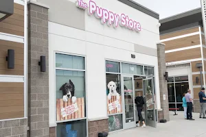 The Puppy Store Vineyard image
