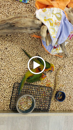 Pet Store «Petland Topeka», reviews and photos, 1801 SW Wanamaker Rd, Topeka, KS 66614, USA