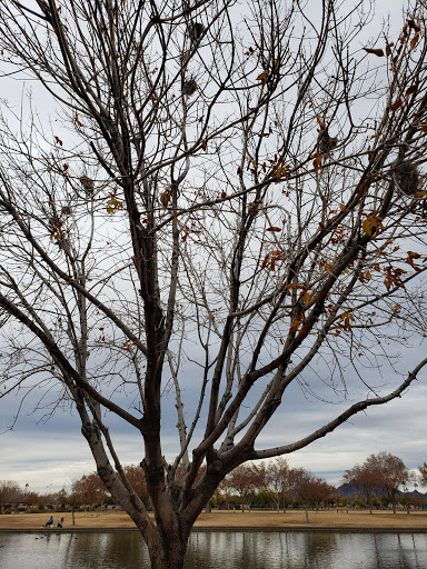 City Park «Steele Indian School Park», reviews and photos, 300 E Indian School Rd, Phoenix, AZ 85012, USA