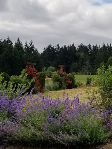 Golf Course «Chehalem Glenn Golf Course», reviews and photos, 4501 E Fernwood Rd, Newberg, OR 97132, USA