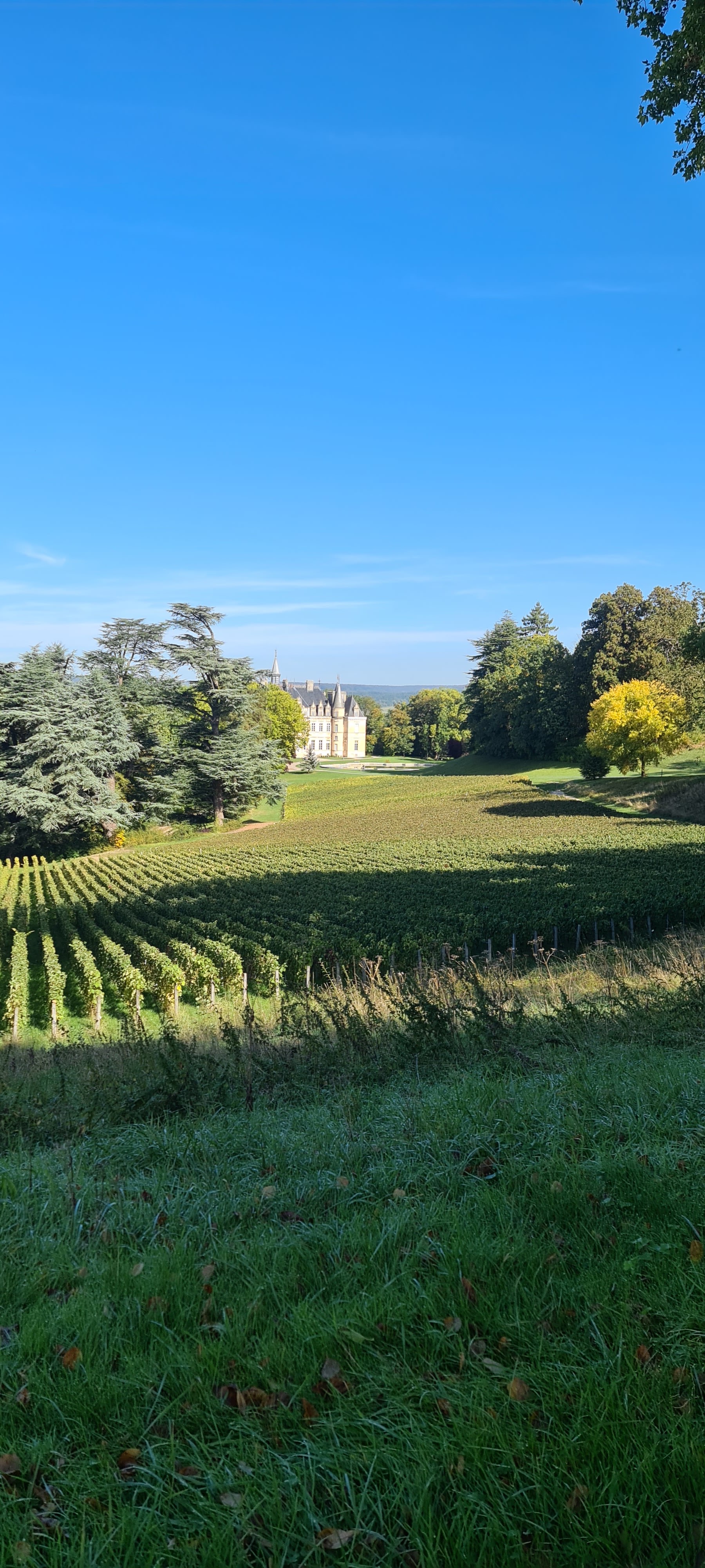 Photo n° 39 de l'avis de V... fait le 04/10/2022 à 16:31