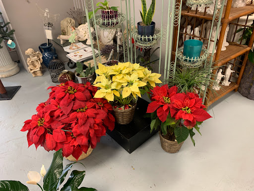 Florist «Pretty Petals Floral Boutique», reviews and photos, 2932 Hillcrest Dr, San Antonio, TX 78201, USA