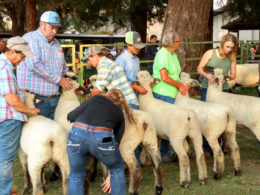 Association or Organization «Mendocino County Fair and Apple Show», reviews and photos