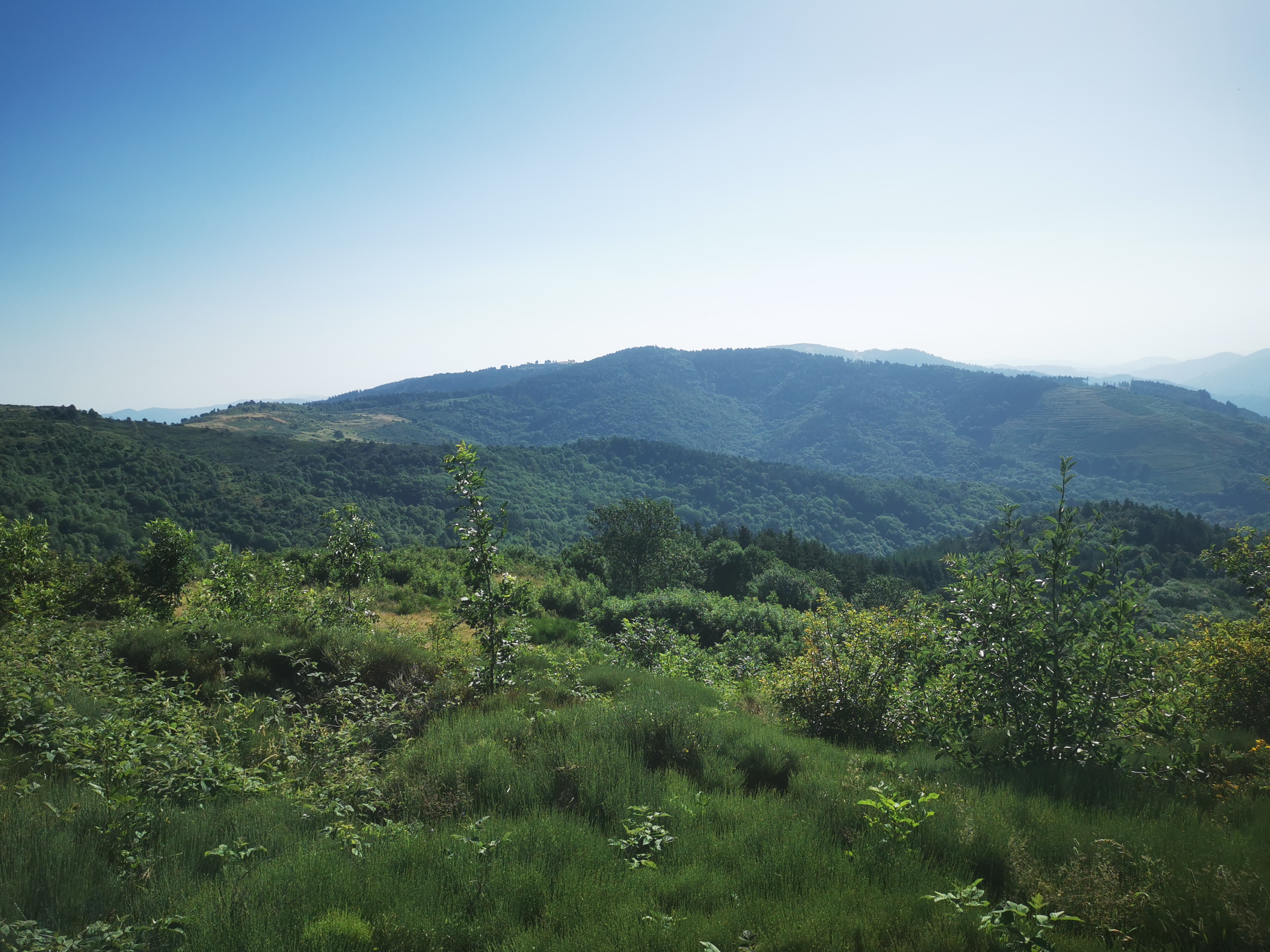 Photo n° 32 de l'avis de Seb. fait le 14/07/2023 à 04:55