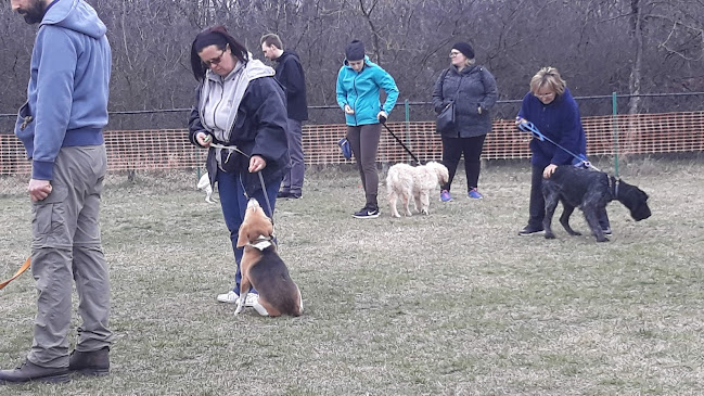 Opinii despre BISE Kutyakiképző în Békéscsaba - Iskola