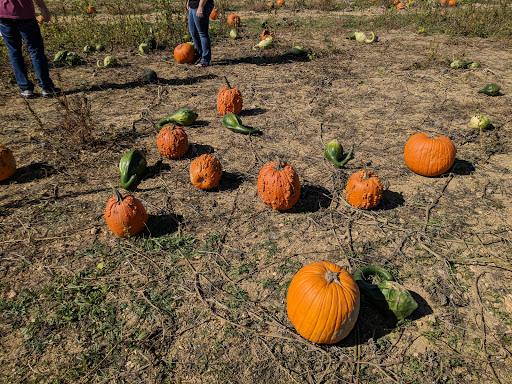 Tourist Attraction «Middleton Farm», reviews and photos, 13250 Cedar Hill Pl, Waldorf, MD 20601, USA