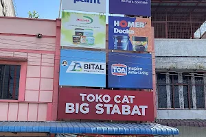Toko Cat BIG Stabat image