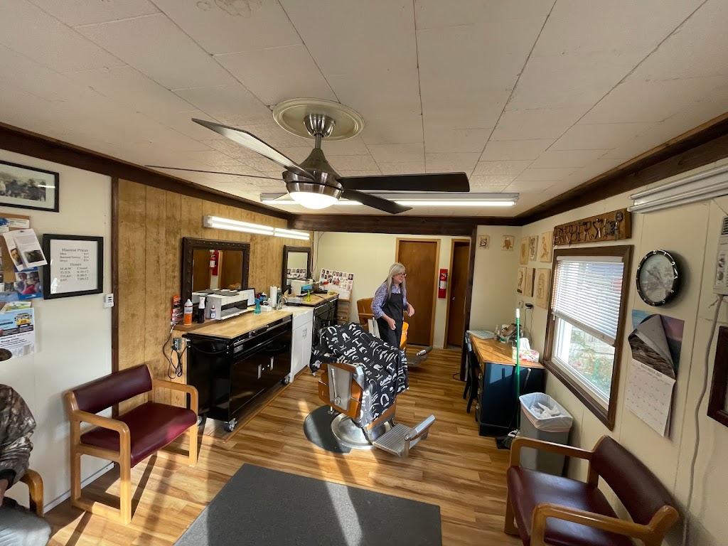Pinckney Barbershop 48169