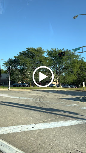 Explore zebra tattoo ideas, creative tattoo ideas in Sun Prairie, available at Blue Lotus Tattoo & The Piercing Lounge