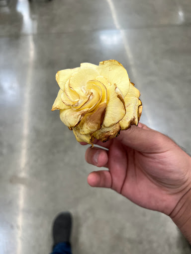 Discount Store «Walmart», reviews and photos, 21320 SW Langer Farms Pkwy, Sherwood, OR 97140, USA