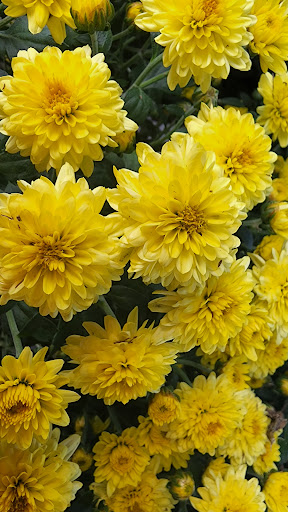 Department Store «Rural King», reviews and photos, 2947 S Washington St, Kokomo, IN 46902, USA