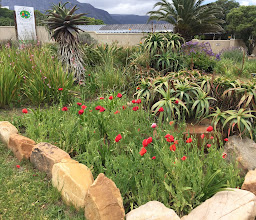 Carmel Community park photo