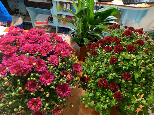 Florist «Beachwood Florist», reviews and photos, 325 New Haven Ave, Milford, CT 06460, USA