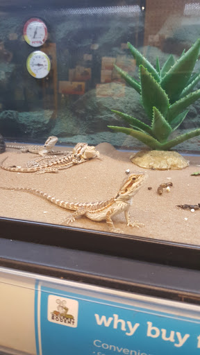 Pet Supply Store «Petco Animal Supplies», reviews and photos, 35860 Chester Rd, Avon, OH 44011, USA