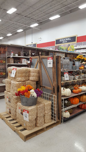 Craft Store «Michaels», reviews and photos, 1110 Stafford Market Pl, Stafford, VA 22556, USA